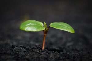 Read more about the article The Ultimate Guide to Personal Growth: 5 Life-Changing Habits to Unlock Your Potential
