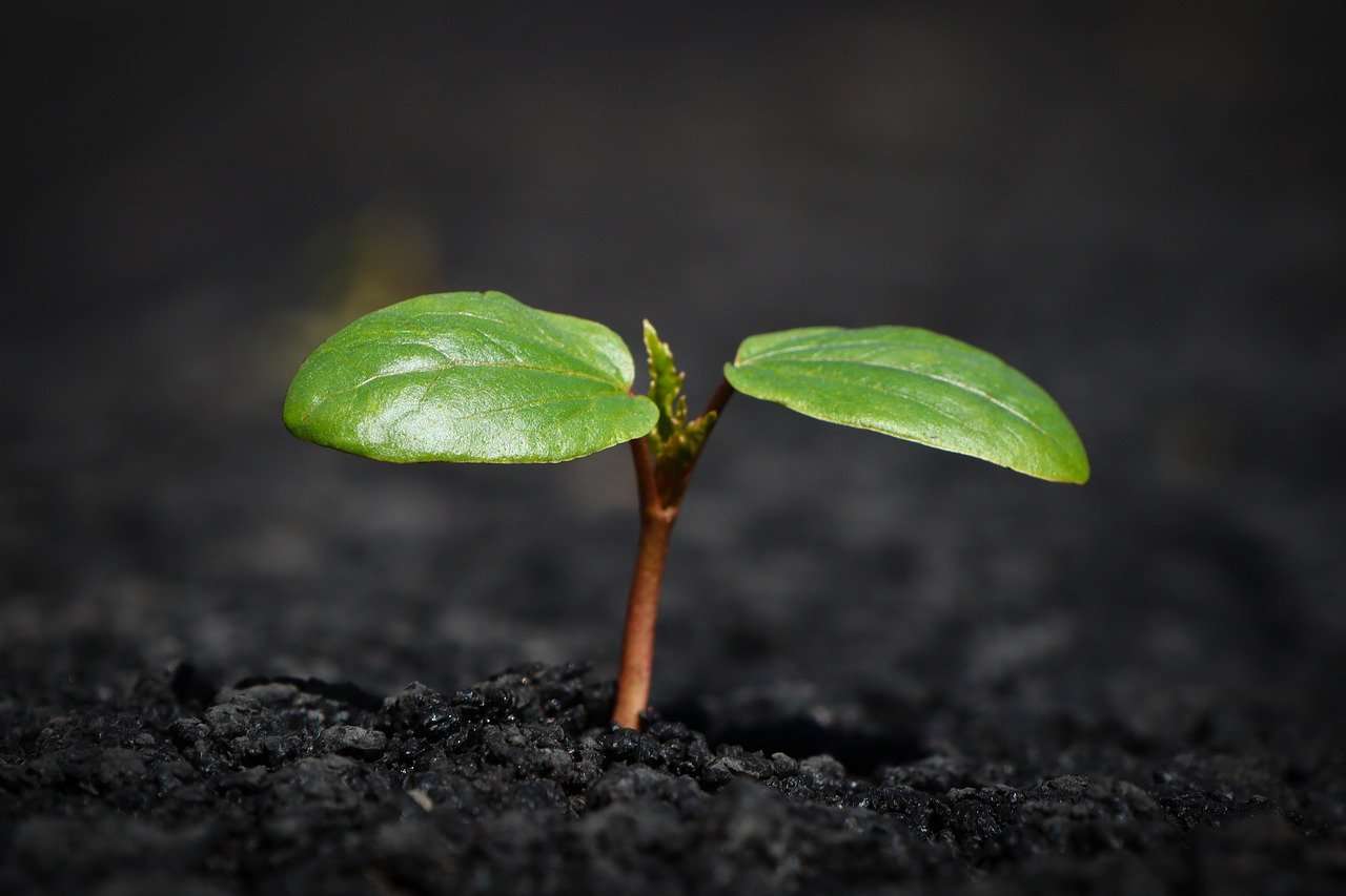 Read more about the article The Ultimate Guide to Personal Growth: 5 Life-Changing Habits to Unlock Your Potential
